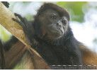 The Natural Jewels of Costa Rica