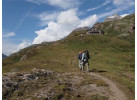 Hiking the Haute Route - Spectacular High Alps Traverse from Chamonix to Zermatt