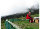 Bhutan: Of Mountains, Rivers and Dzongs