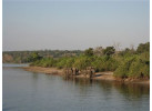 Explore the Landscapes and Wildlife of Botswana Elephant Trail