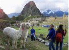 Classic Peru 