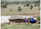 32-Day Wildlife & Cultural Experience in Rwanda, Uganda, Kenya & Tanzania