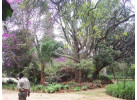Grand Safari - 15 Day Tour