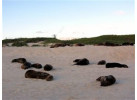 Voyage Galapagos: 7-Day G3 Cruise & Wildlife Adventure in Central Islands