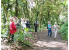 15 Days Costa Rica Pass - Route 6 Adventure Bus