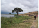 The Hemingway Wing Safari: 14 Days Exploring the Old Africa in Style