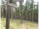 Self-Guided Walking: The Speyside Way
