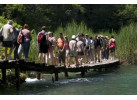 Discover the History & Culture of Italy & The Adriatic: 24-Day Adventure