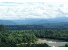 Spend 5 Days Exploring the Amazon of Ecuador