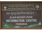 Black-Necked Crane Festival