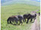 32-Day Wildlife & Cultural Experience in Rwanda, Uganda, Kenya & Tanzania
