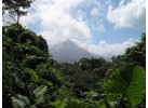 Pacuare Costa Rica Adventure