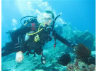 Snorkeling in the Remote Islands of the Coral Triangle - Misool Archipelago
