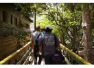 Brazil: 10-Day Cultural Experience
