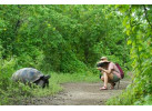 Galápagos Islands Sailing and Multi-Sport Adventure