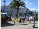 Discover the Alluring Lakes and Captivating Landcapes of Itlay