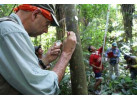 Amazon Riverboat Adventure: 9-Day River Cruise & Wildlife Adventure