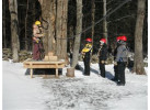 Canopy Adventure at Smugglers Notch