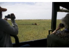 The Hemingway Wing Safari: 14 Days Exploring the Old Africa in Style