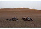 Atlas to the Atlantic - Morocco Family Adventure