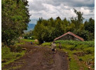 6 Day Gorillas in PNV and Culture in Mgahinga