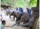 Explore the Beauty of Thailand, Laos, Vietnam & Cambodia in this 34 Day Adventure
