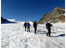 The Great Alpine Traverse - Hike through Five Countries