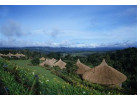 Papua New Guinea & Sepik River