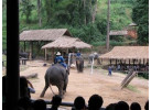 16-Day Cultural & Historical Adventure in Thailand & Laos