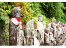 Experience Japan from the Neon Lights of Tokyo to Kyoto's Temples