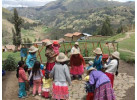 Peru Summer Program