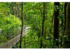 Pacuare Costa Rica Adventure