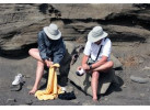 Comfort Galapagos - 6 Days G4 Cruise & Wildlife Adventure in North Islands