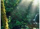 32 Days Central American Journey from Playa del Carmen to San Jose