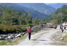 Annapurna Mountains & Wildlife
