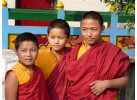 Laya Settlements and Ghasa Trekking Adventure of Bhutan