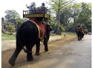 Vietnam, Laos & Cambodia Family Tour