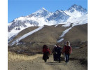 The Kingdom of Mustang 