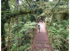 Classic Costa Rica Adventure in 9 Days