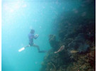 Palau Snorkeling and Sea Kayaking: Experience the Natural History Paradise of the Rock Islands