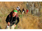 Peru Summer Program
