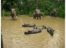 India Nepal Adventure