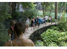 Discover the History & Culture of Italy & The Adriatic: 24-Day Adventure