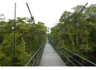 Spend 5 Days Exploring the Amazon of Ecuador