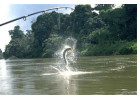 Best of Costa Rica 