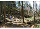 5 Days Boomer Backpack in Glacier National Park, Montana - Special Trip for Seniors