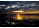 Amazon Riverboat Adventure: 9-Day River Cruise & Wildlife Adventure
