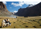 Tibet - Mountains and Monasteries on Top of the World
