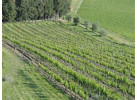 Tuscan Wine Treasures: Chianti, Brunello & Vino Nobile