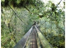 Borneo - Into the Heart of the Rainforest